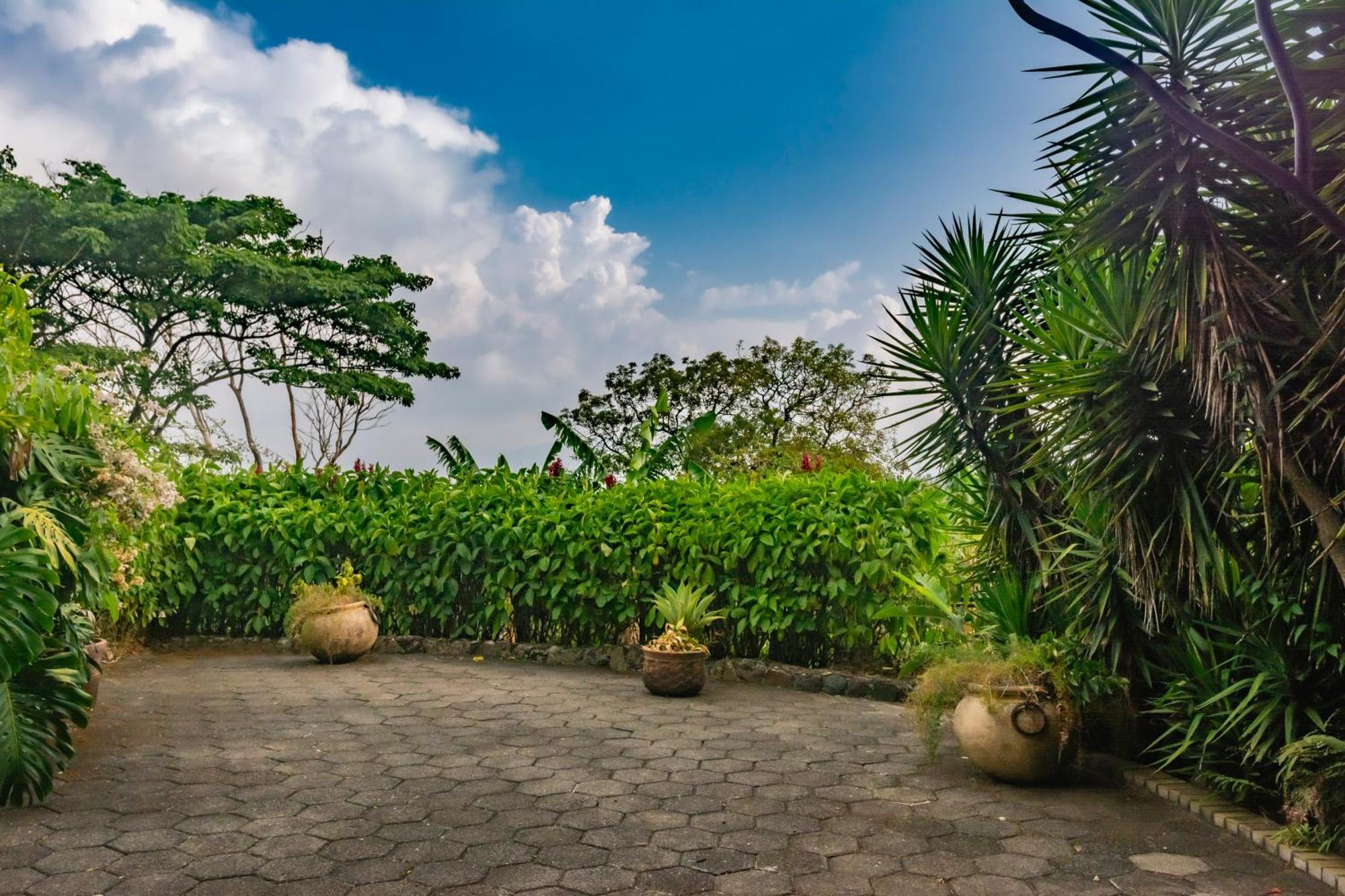 Finca Rosa Blanca Coffee Farm And Inn 에레디아 외부 사진